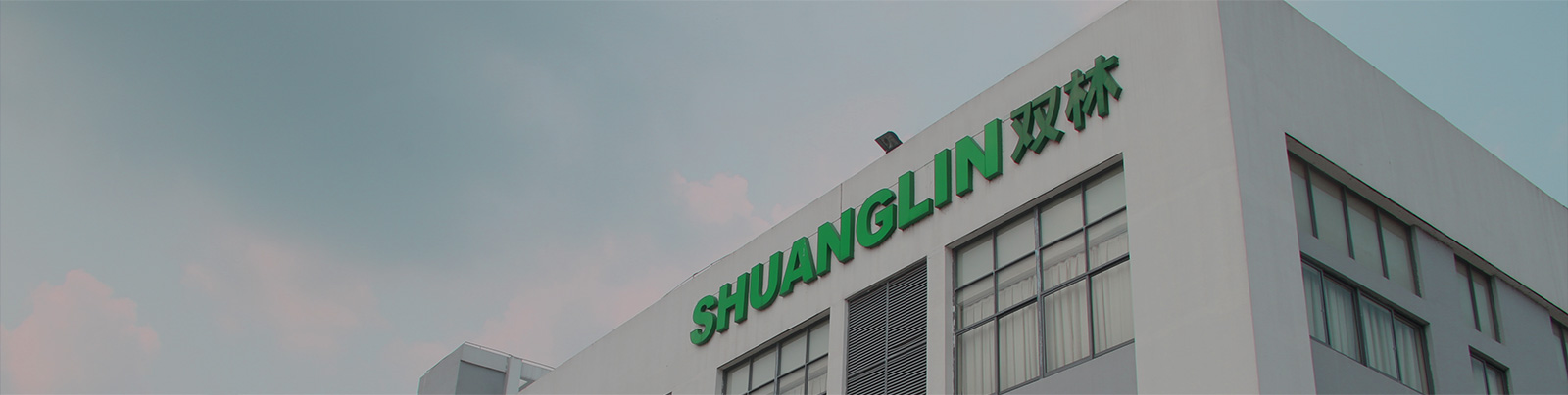 口袋德州官网股份站群