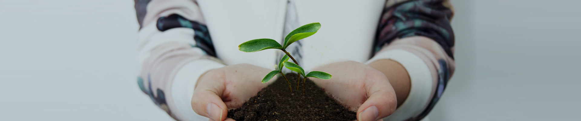 关于口袋德州官网