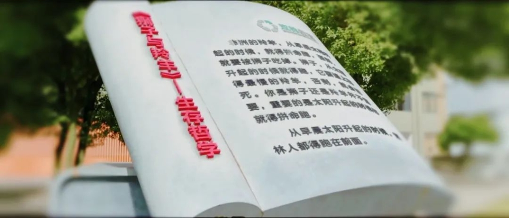 口袋德州官网-口袋德州APP下载