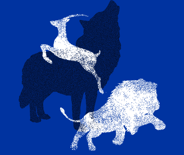 口袋德州官网-口袋德州APP下载